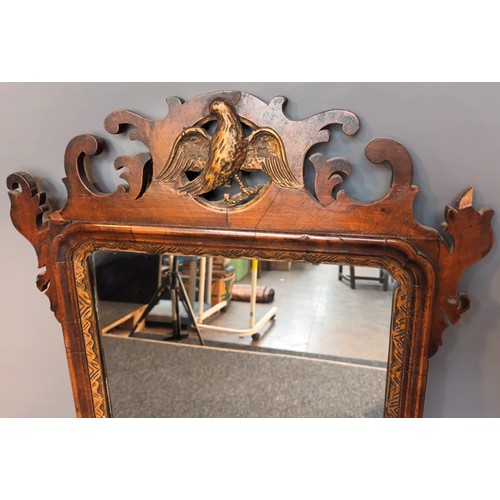 388 - Georgian carved scroll framed mirror with central gilt painted moulded bird [85x50cm]