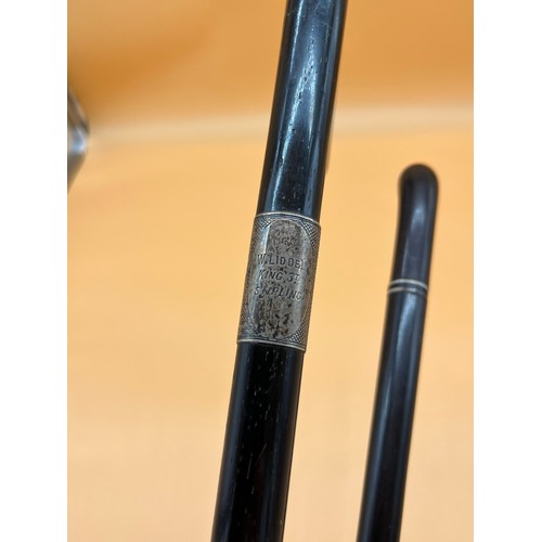 163 - Two Dark wood walking canes ebony. One has a Silver collar. Tribal style cane is ebony.