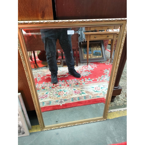 264B - Large gilt framed mirror