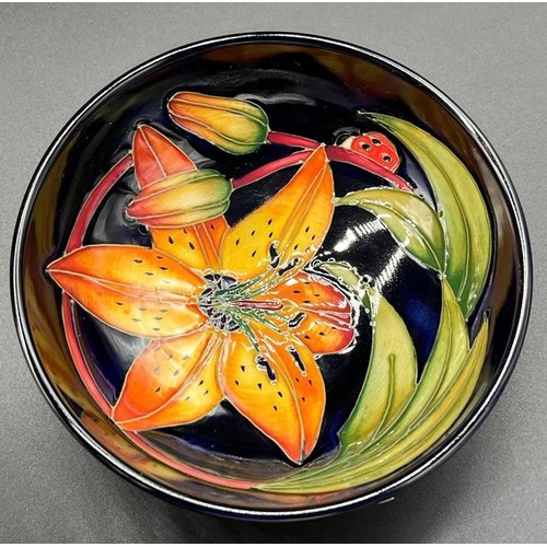 554 - Small Limited edition Moorcroft bowl. Designed with lilies and lady bird, against a cobalt blue grou... 