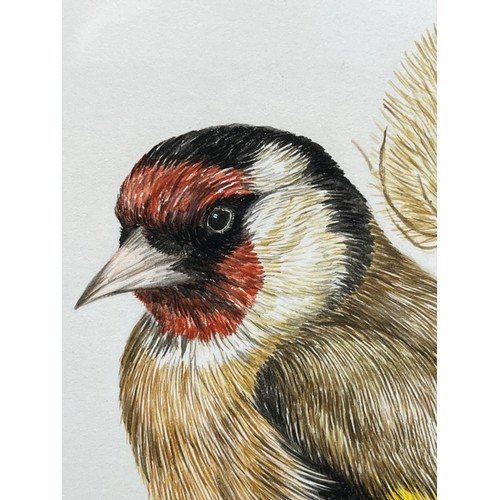 656 - Original watercolour depicting a Goldfinch. Signed L Gascoign. [Frame 31x28cm]