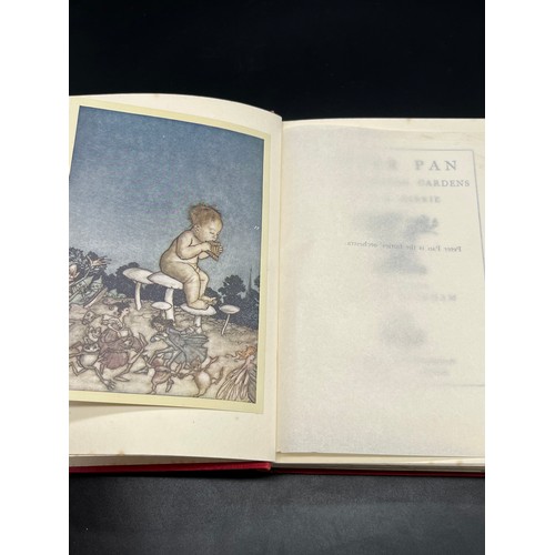 721 - Barrie, J.M. Peter Pan in Kensington Gardens, illustrated by Arthur Rackham- Published by Hodder & S... 