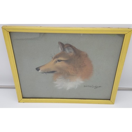 645 - Ralston Gudgeon 
Original pastel drawing of a dog. Signed. [frame 34x42cm] [Crack in glass during tr... 