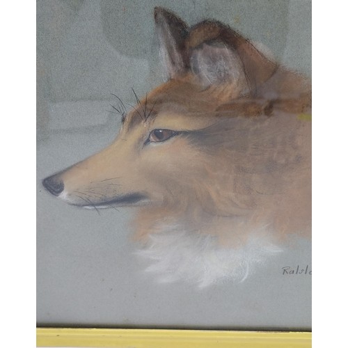 645 - Ralston Gudgeon 
Original pastel drawing of a dog. Signed. [frame 34x42cm] [Crack in glass during tr... 