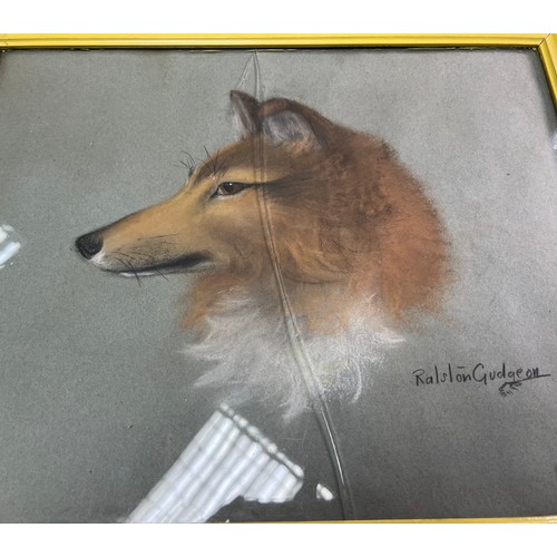 645 - Ralston Gudgeon 
Original pastel drawing of a dog. Signed. [frame 34x42cm] [Crack in glass during tr... 