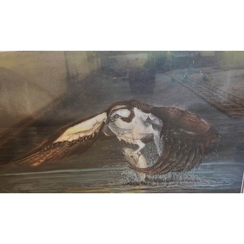 661 - Framed pastel depicting an osprey catching a fish, Signed F.Rigby '05 - Glenrothes art club.  [58x51... 