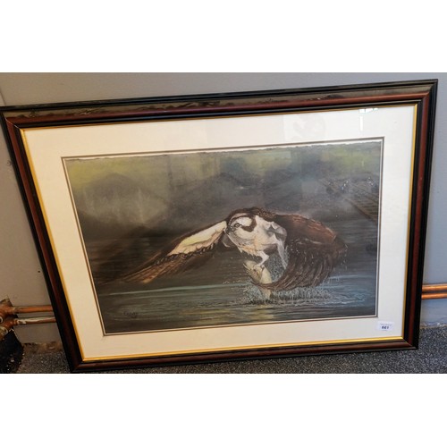 661 - Framed pastel depicting an osprey catching a fish, Signed F.Rigby '05 - Glenrothes art club.  [58x51... 