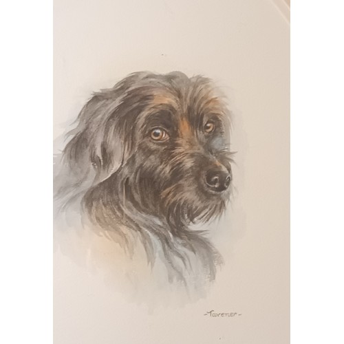 663 - Watercolour depicting a dog, Signed Tavener. [60x50cm]
Along with oil on milk glass also depicting a... 