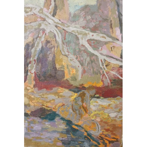 667 - Oil on canvas depicting a person  by the river, Signed [61x42cm]