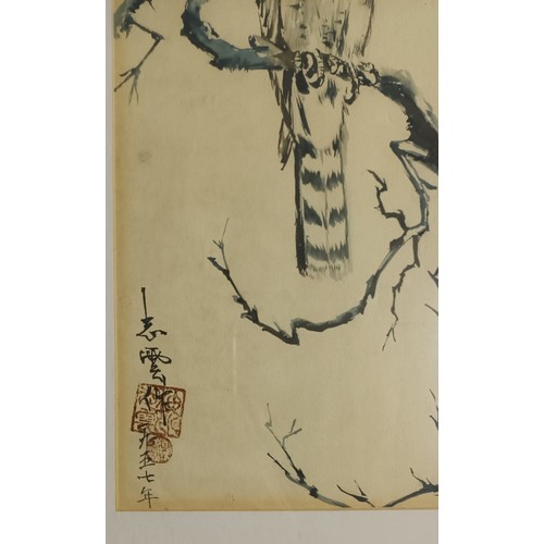 689 - Framed Chinese watercolour depicting a bird of prey perched on a branch. Signed. 
 [58x46cm]