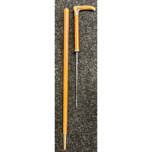 818 - Antique Malacca walking cane fitted with a hidden blade. Horn handle and white metal collar. [Cane- ... 