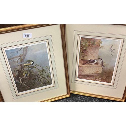 900 - Four signed prints- Two A. Thorburn bird study prints and two Elizabeth Cameron plant species prints... 