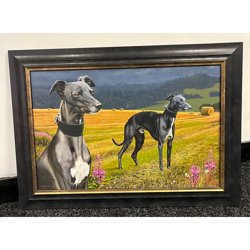 859 - Oil painting on canvas depicting whippet/ grey hound portraits within a field. Signed T. Lafferty an... 