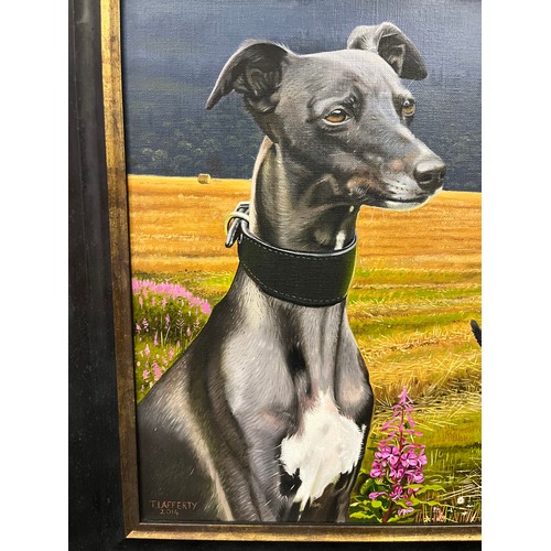 859 - Oil painting on canvas depicting whippet/ grey hound portraits within a field. Signed T. Lafferty an... 