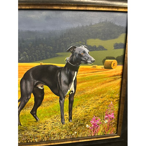 859 - Oil painting on canvas depicting whippet/ grey hound portraits within a field. Signed T. Lafferty an... 