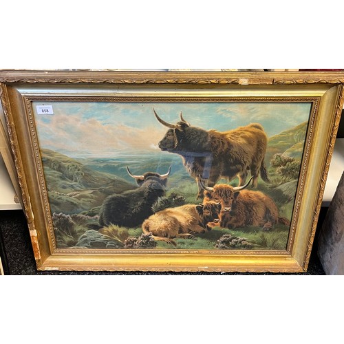 858 - Antique coloured print depicting highland cows resting. Fitted within a gilt frame [Frame 57x80cm]