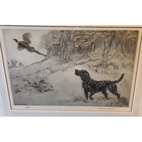 847 - Original etching ''Cock up Cock up'' by Henry Wilkinson
35/75 depicting a dog hunting a pheasant
[47... 