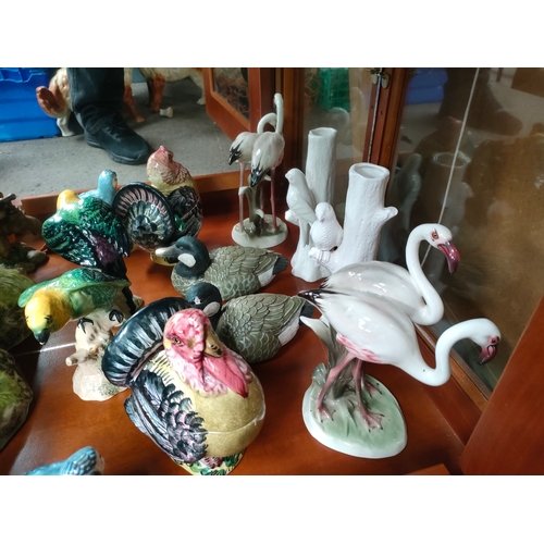 270 - Shelf of bird ornaments to include osprey, Beswick parrot etc