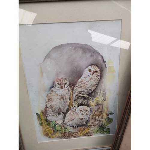 330 - Selection of bird scene prints includes owls etc