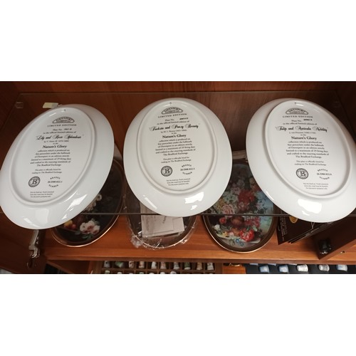 445B - 6 Davenport Pottery plates all depicting flowers, some with certificates