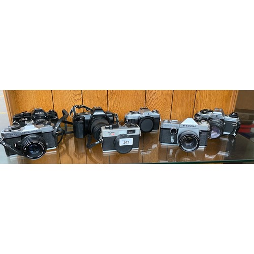 202 - A Shelf of cameras to include Ricoh XR-2, Fujica ST605N, Canon EOS 1000, Minolta X-500, Ricoh and Pr... 