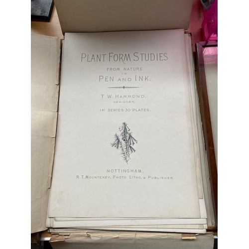 225 - Antique Portfolio 'Plant Form Studies' from nature in pen and ink T.W. Hammond, Designer. 1st series... 