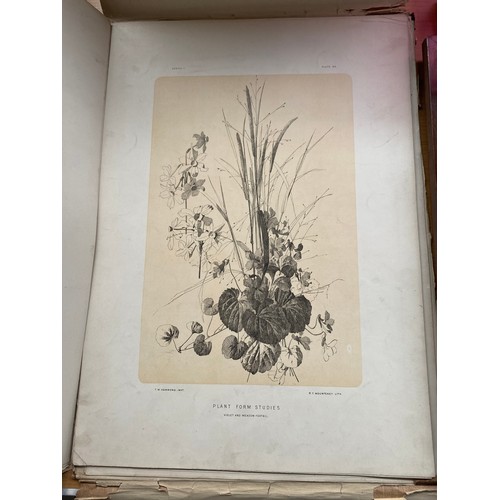 225 - Antique Portfolio 'Plant Form Studies' from nature in pen and ink T.W. Hammond, Designer. 1st series... 