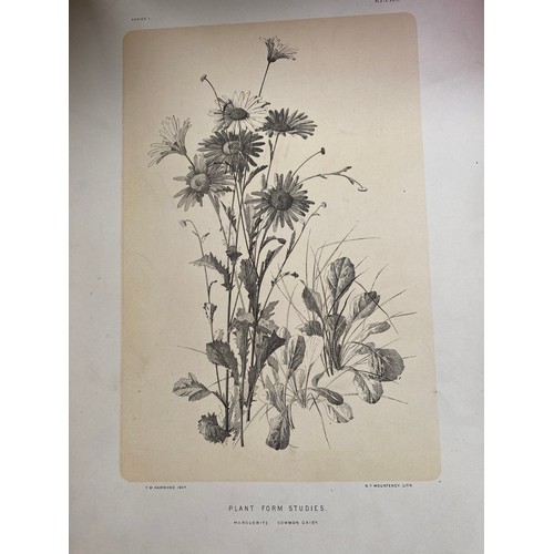 225 - Antique Portfolio 'Plant Form Studies' from nature in pen and ink T.W. Hammond, Designer. 1st series... 