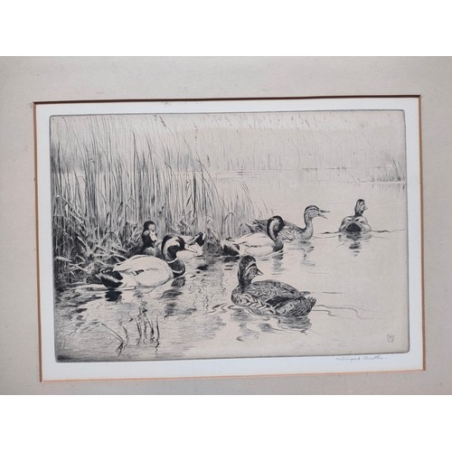 360 - 20th Century duck scene etching by Winifred Austen and Original drypoint etching titled 