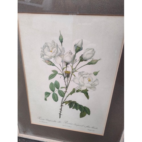 408 - Selection of floral scene framed prints