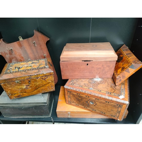 429 - Large collection of antique document boxes, writing slope, tea caddy together with shelf of Victoria... 