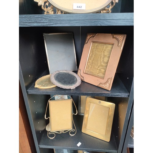 442 - Five shelves of antique photo frames of various sizes.