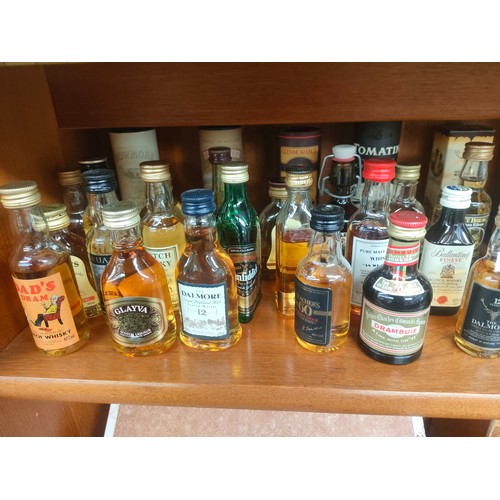 126 - A large collection of whisky miniatures