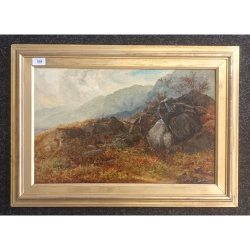 896 - 19th Century Highland landscape oil painting, unsigned.[49x69]