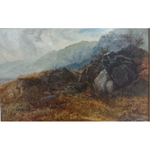 896 - 19th Century Highland landscape oil painting, unsigned.[49x69]