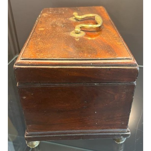 823 - 19th century mahogany lidded storage box, brass swing handle to lid and sat upon four brass bun feet... 