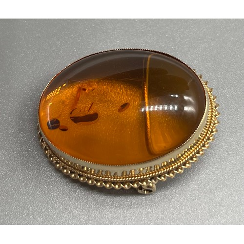 705 - Birmingham 9ct yellow gold and amber brooch. Catch and pin work well. [3x2.5cm] [6.93grams]