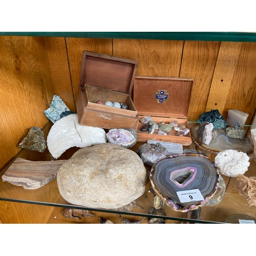 9 - Shelf of semi precious stones, fossils and crystals etc