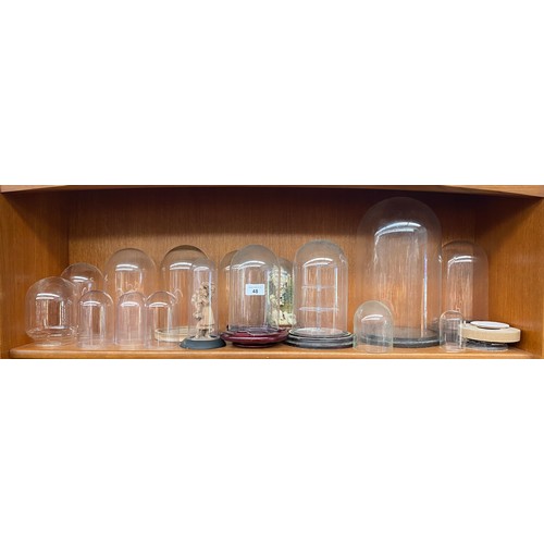 48 - Shelf of plastic and glass protective domes