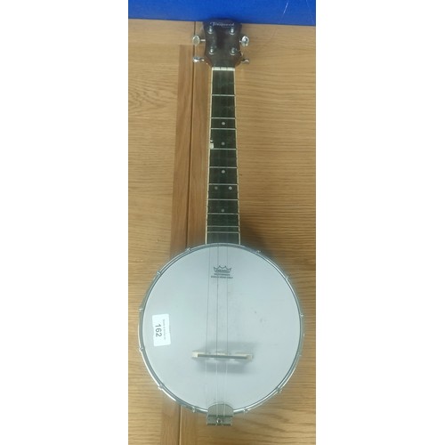 162 - Tonewood mini banjo