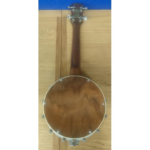 162 - Tonewood mini banjo