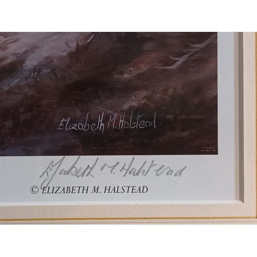 1267 - Elizabeth. M. Halstead
Limited Edition print 'The Lonely Ones, Kinloch Hourns' 
100 of 300, signed.
... 