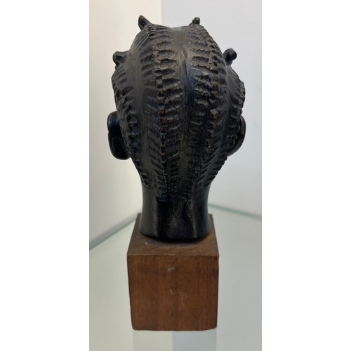 1237 - African hand carved lady bust study- by J.D. AKEREDOLU, LACOS, NIGERIA. [17CM HIGH]