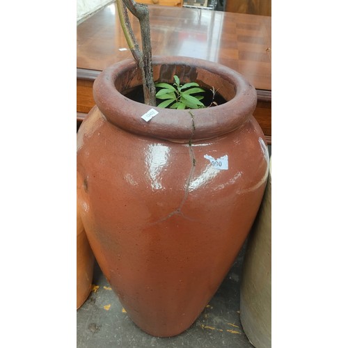 990 - Large Terracotta garden plant pot.