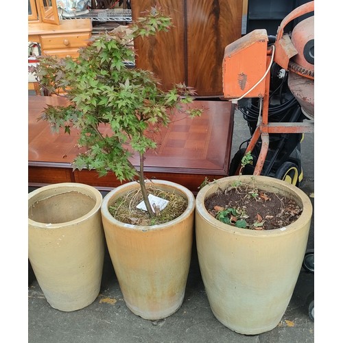 991 - Three large garden ceramic and glazed plant pots.