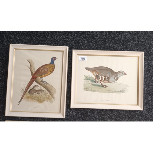 1316 - A lot of five coloured prints depicting Geese, Partridge and Pheasant. 
[29x36cm]