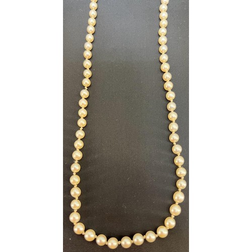 46 - A single strand of cultured pearls
Of even size. 9ct yellow gold and pearl set clasp [Length: 44cm]