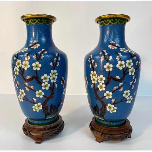 183 - A Pair of cloisonné blue enamelled vases set with tree & bird scene design supported on fruit wood s... 