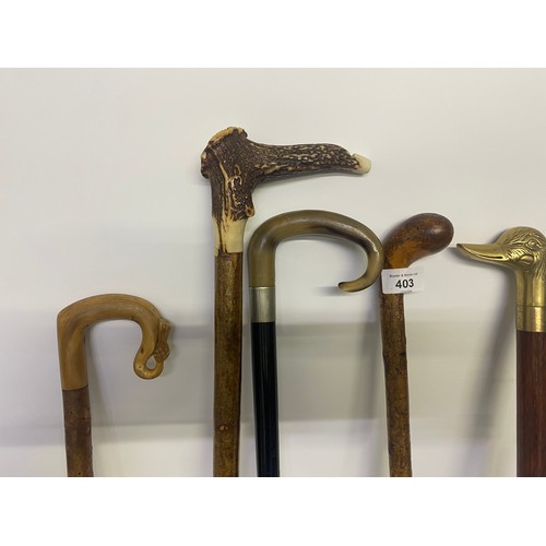 403 - A Collection of antique walking cains & shooting stick; Brass topped duck head walking stick with fi... 