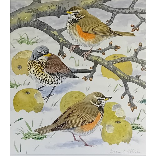 180 - Richard Allen
Watercolour
''Wildlife''
Signed
[47x44cm]